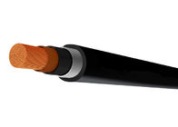 1 Core Crosslinked Polyethylene Power Cable With Armour XLPE Insulation
